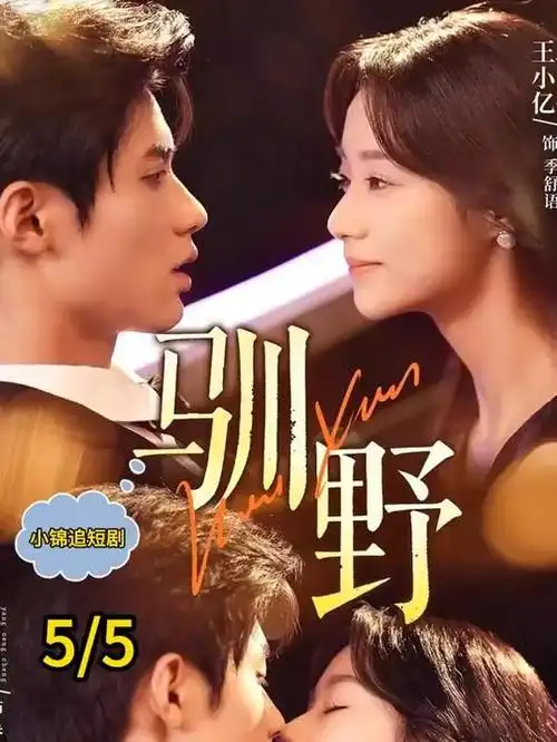 影视仓热搜剧集雾港迷局海报